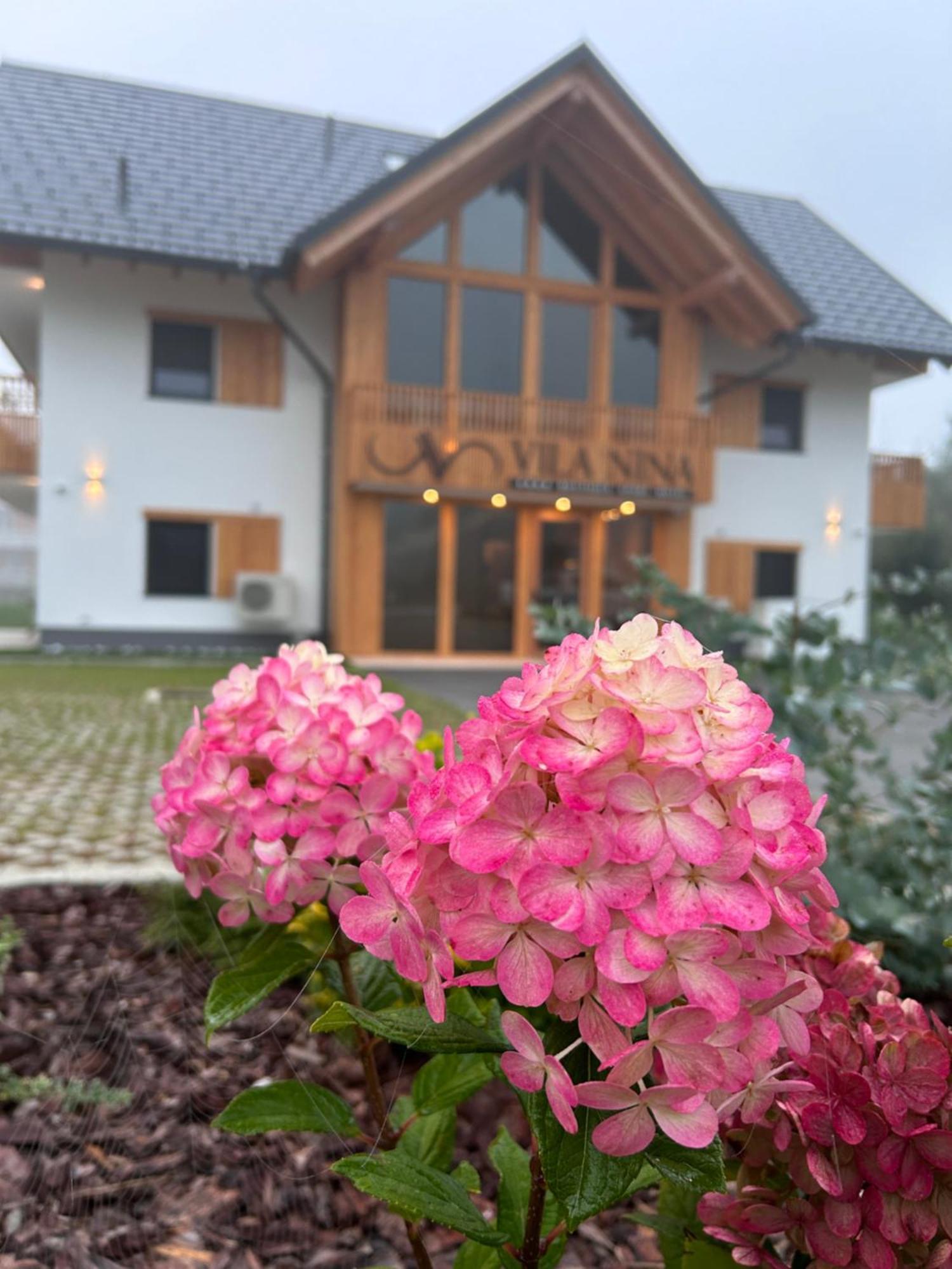 Vila Nina 보히니 외부 사진